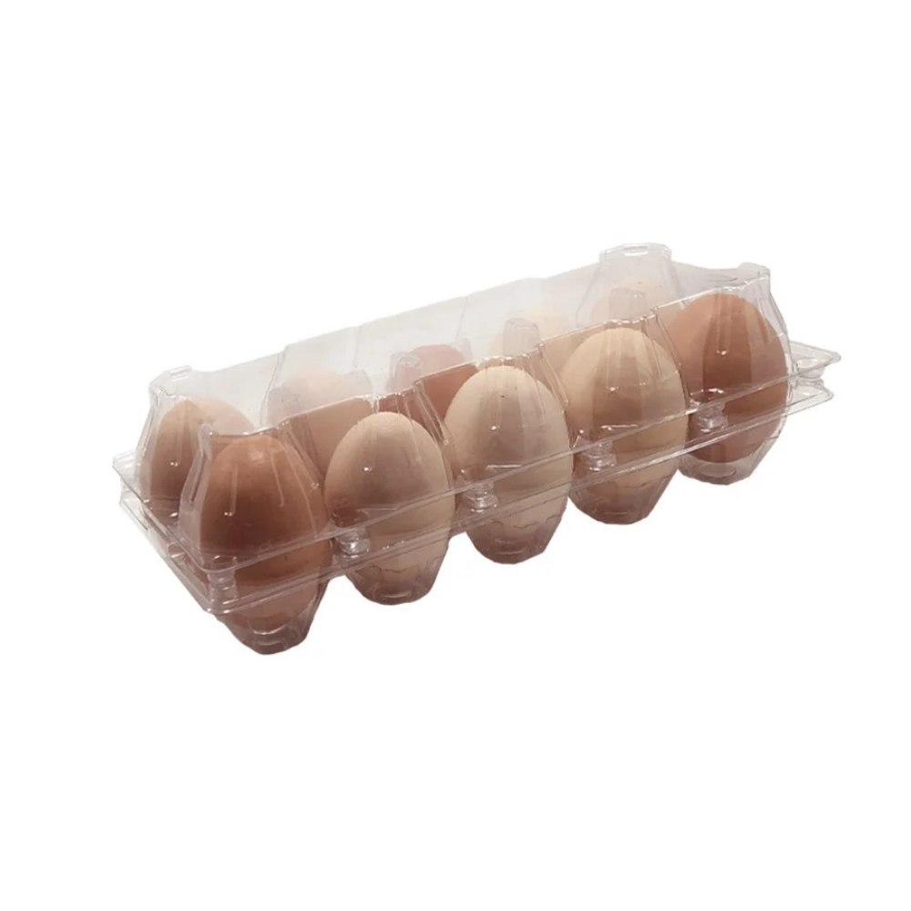 10'lu Yumurta Viyolü Plastik